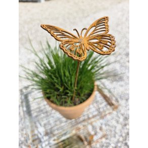 Insekter 