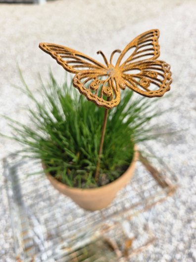 Insekter 