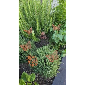 Sm&aring; Insekter
