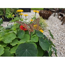Stor Sommerfugl p� pind