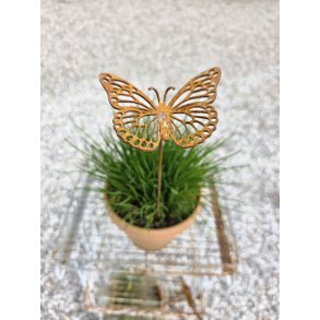 Sommerfugl p� pind