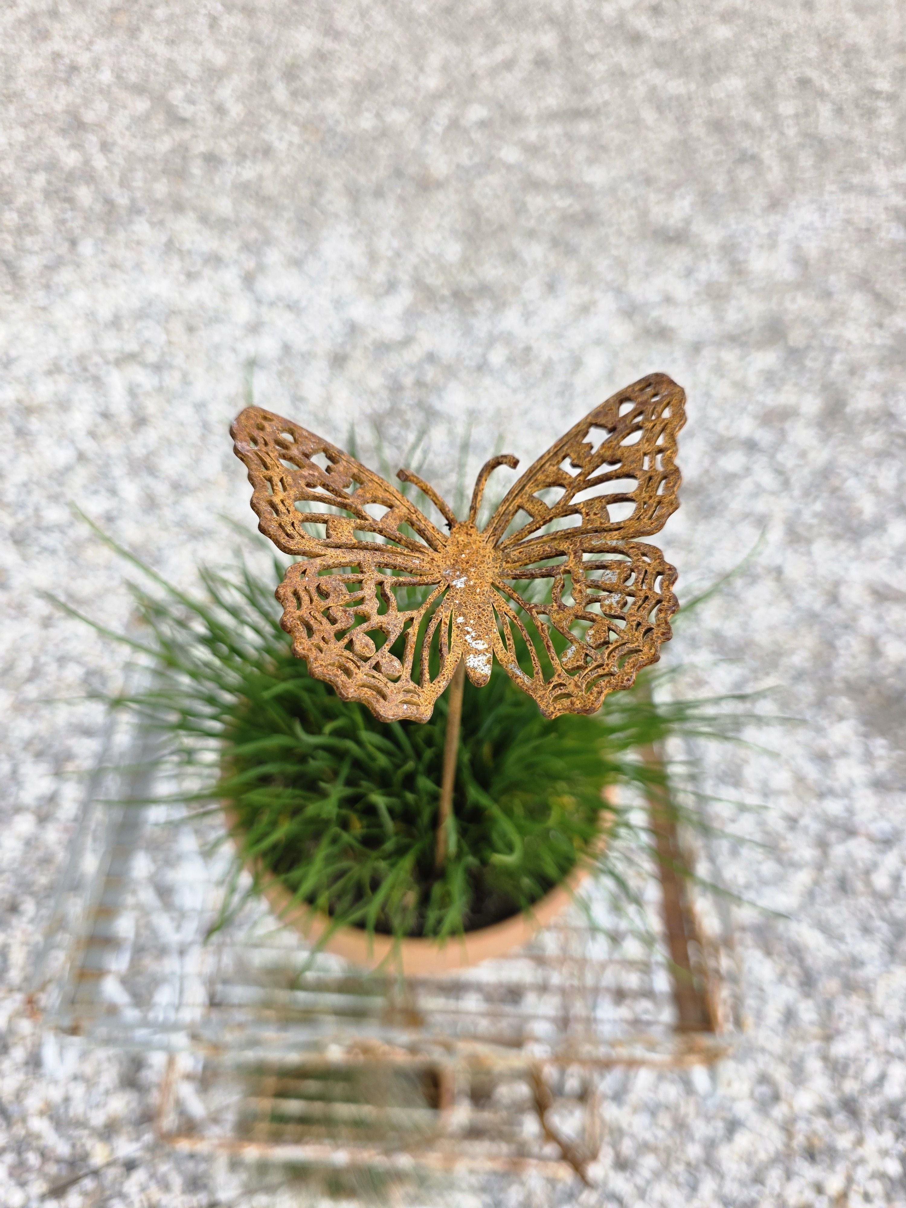 Sommerfugl p� pind