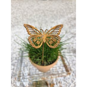 Sommerfugl p� pind