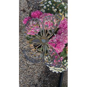 Stor Sommerfugl p� pind