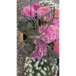 Stor Sommerfugl p� pind