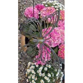 Stor Sommerfugl p� pind