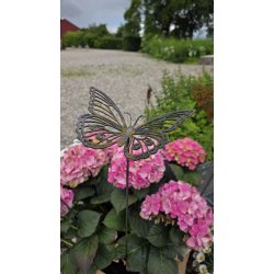 Stor Sommerfugl p� pind