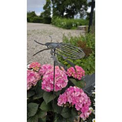Stor Bille p� pind