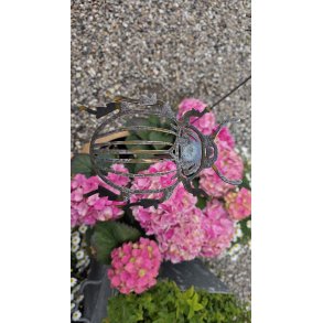Stor Bille p� pind