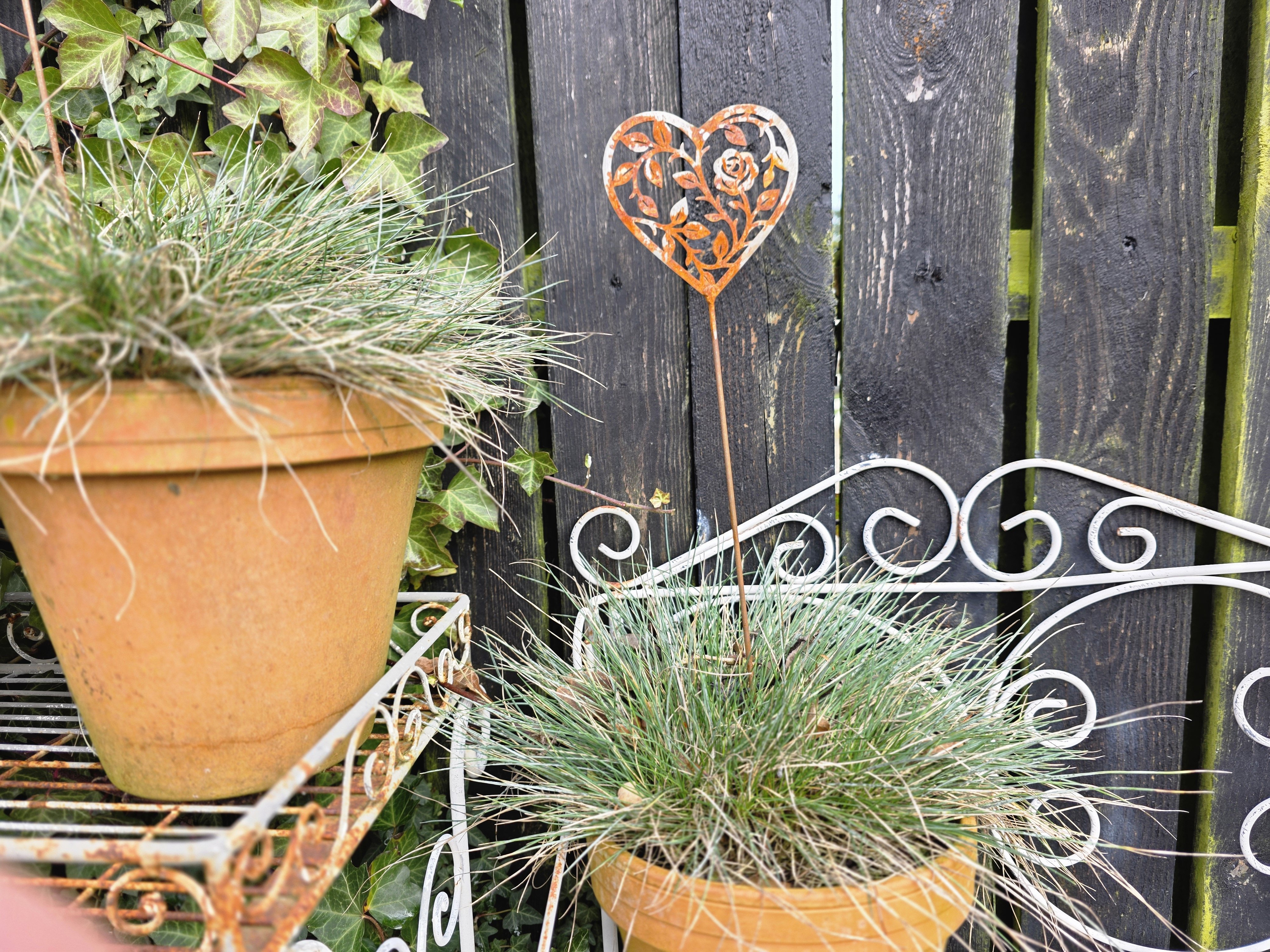 Lille hjerte p� pind 