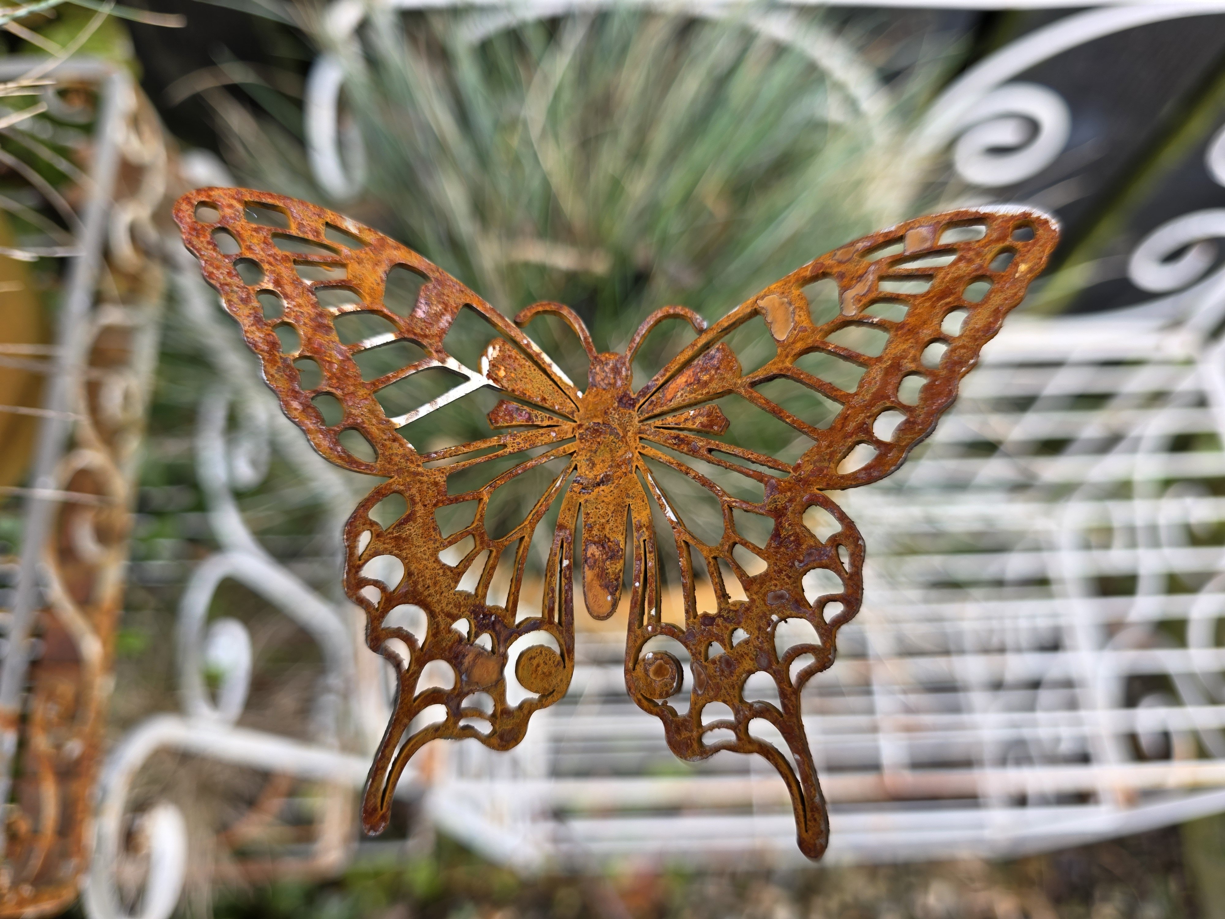 Sommerfugl p� pind