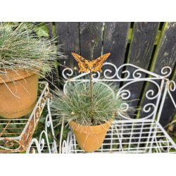 Sommerfugl p� pind