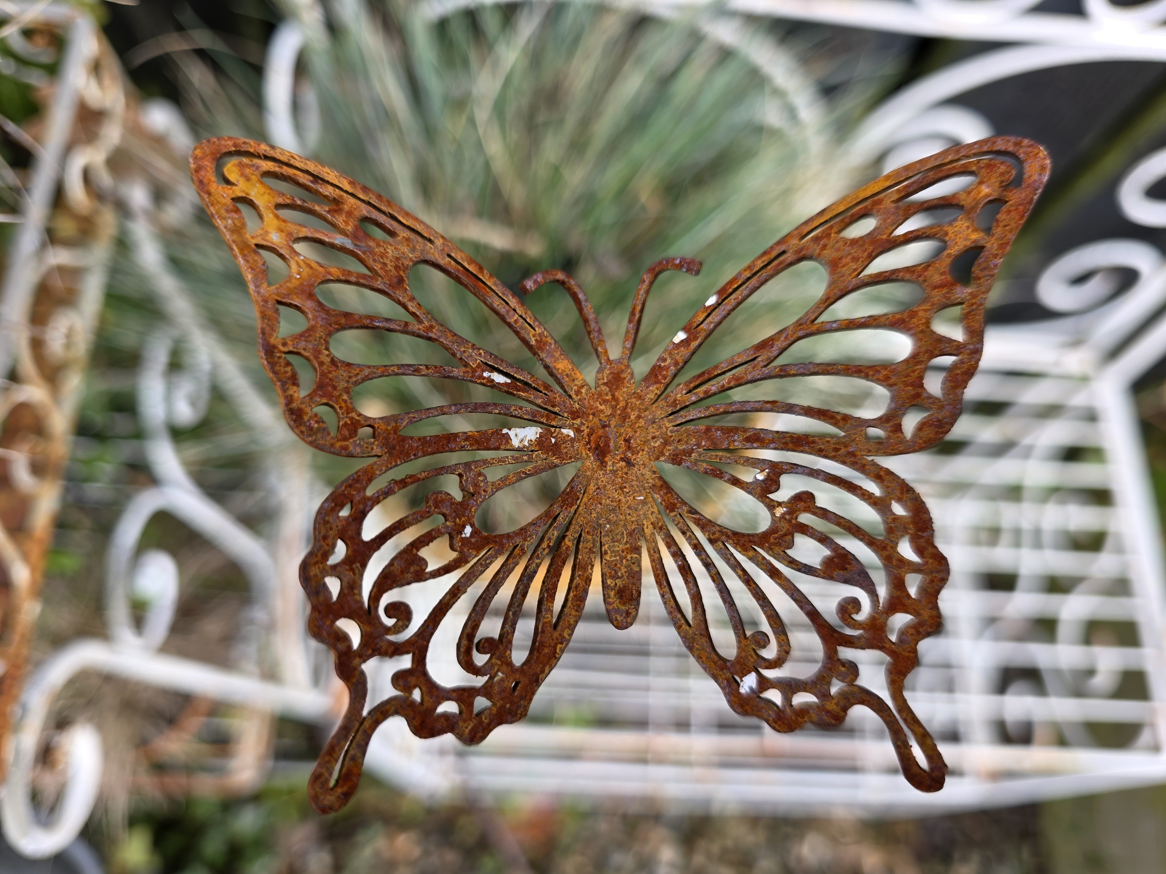 Sommerfugl p� pind