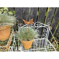 Sommerfugl p� pind