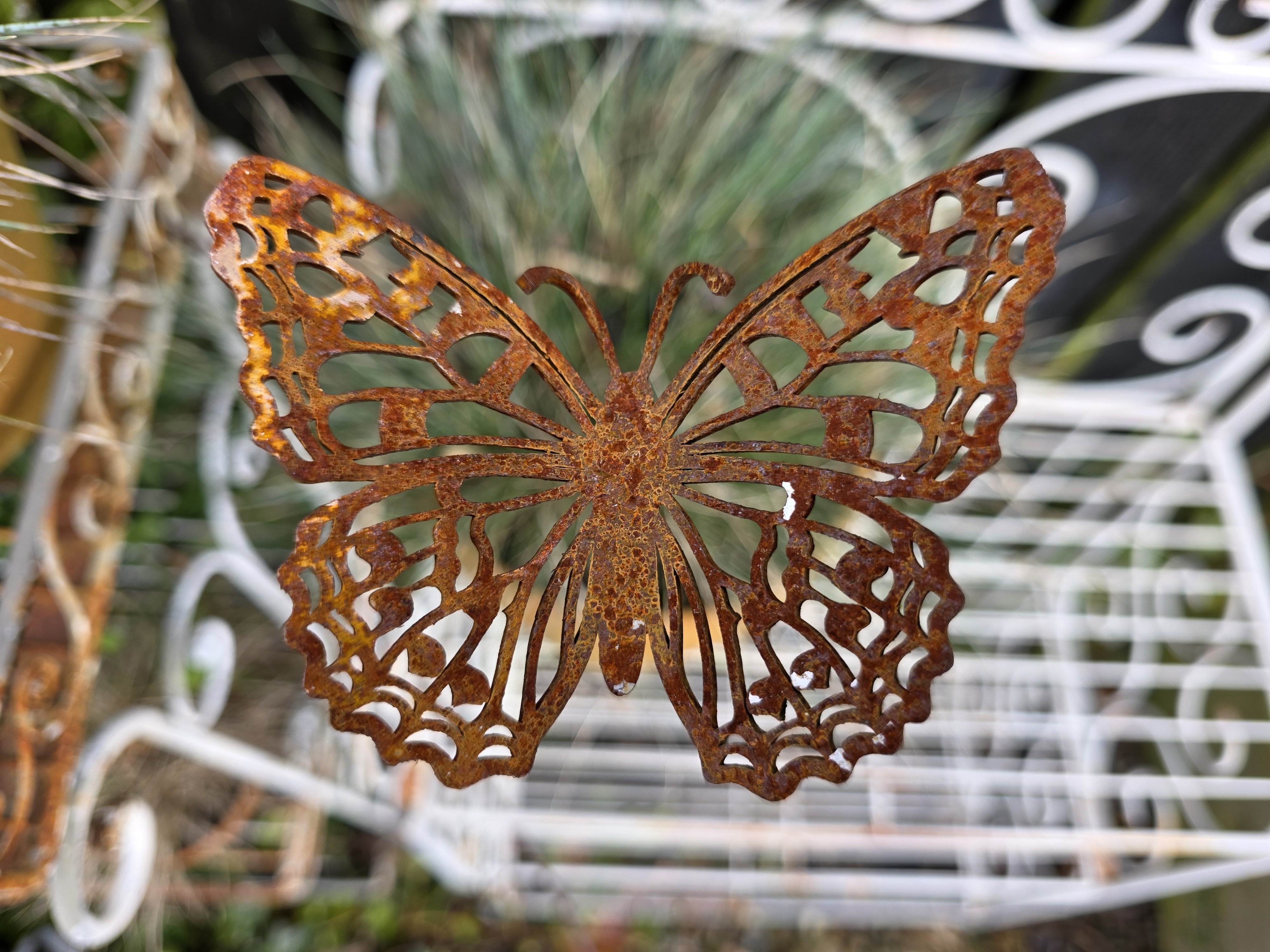 Sommerfugl p� pind