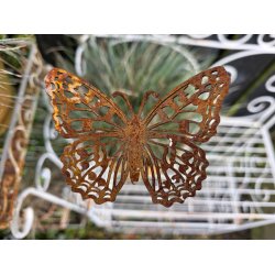 Sommerfugl p� pind