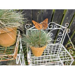 Sommerfugl p� pind