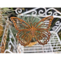 Sommerfugl p� pind