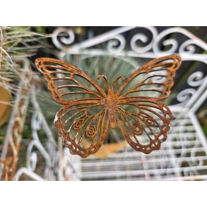 Sommerfugl p� pind