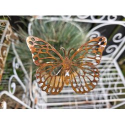 Sommerfugl p� pind