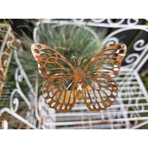 Sommerfugl p� pind