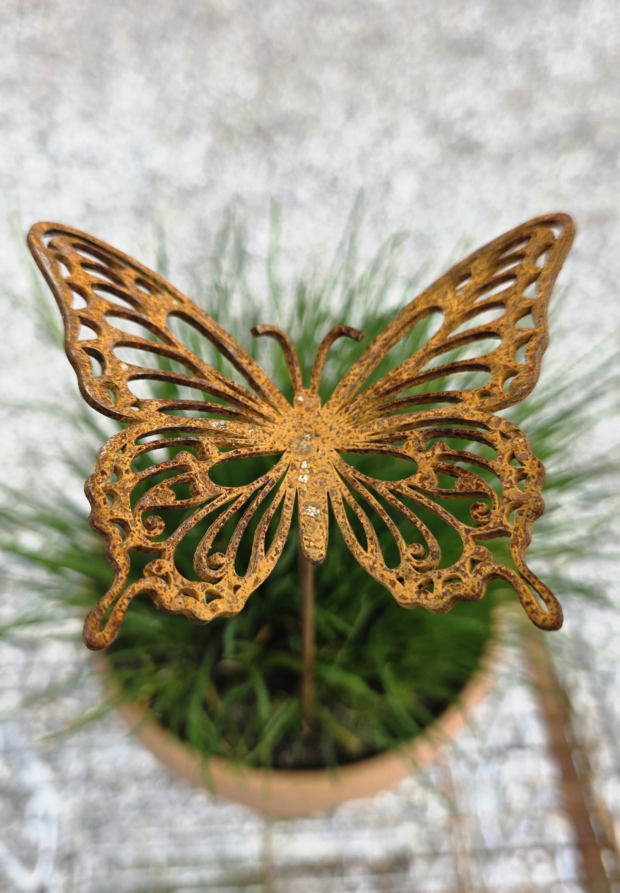 Sommerfugl p� pind