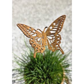 Sommerfugl p� pind