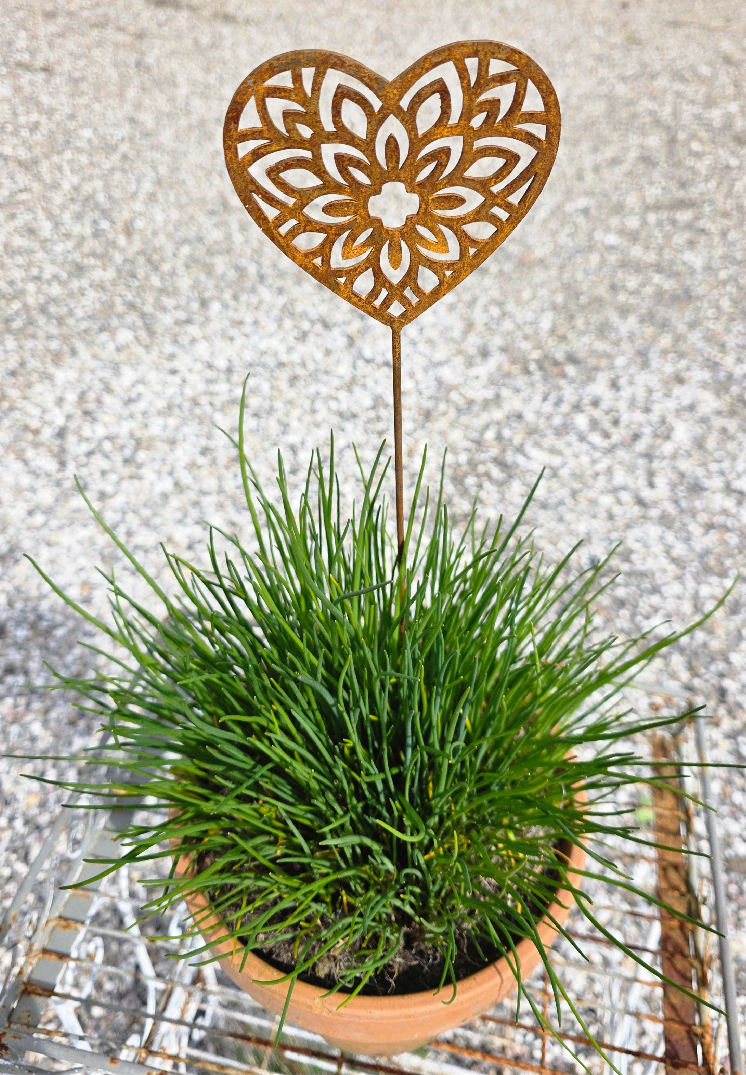 Lille hjerte p� pind 