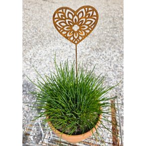 Lille hjerte p� pind 