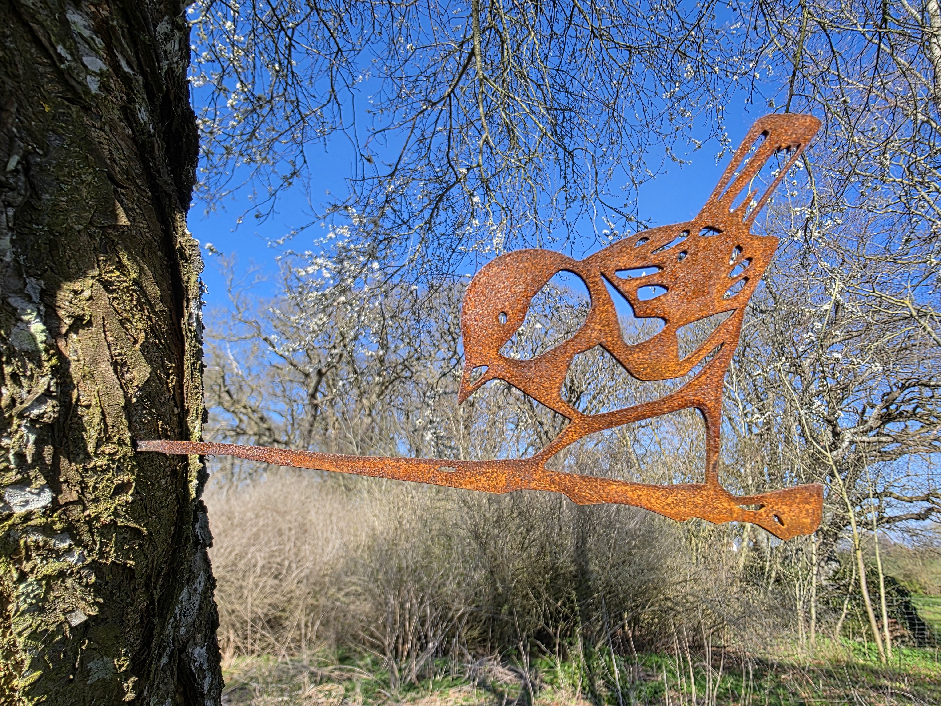 Bl�mejse i cortenst�l