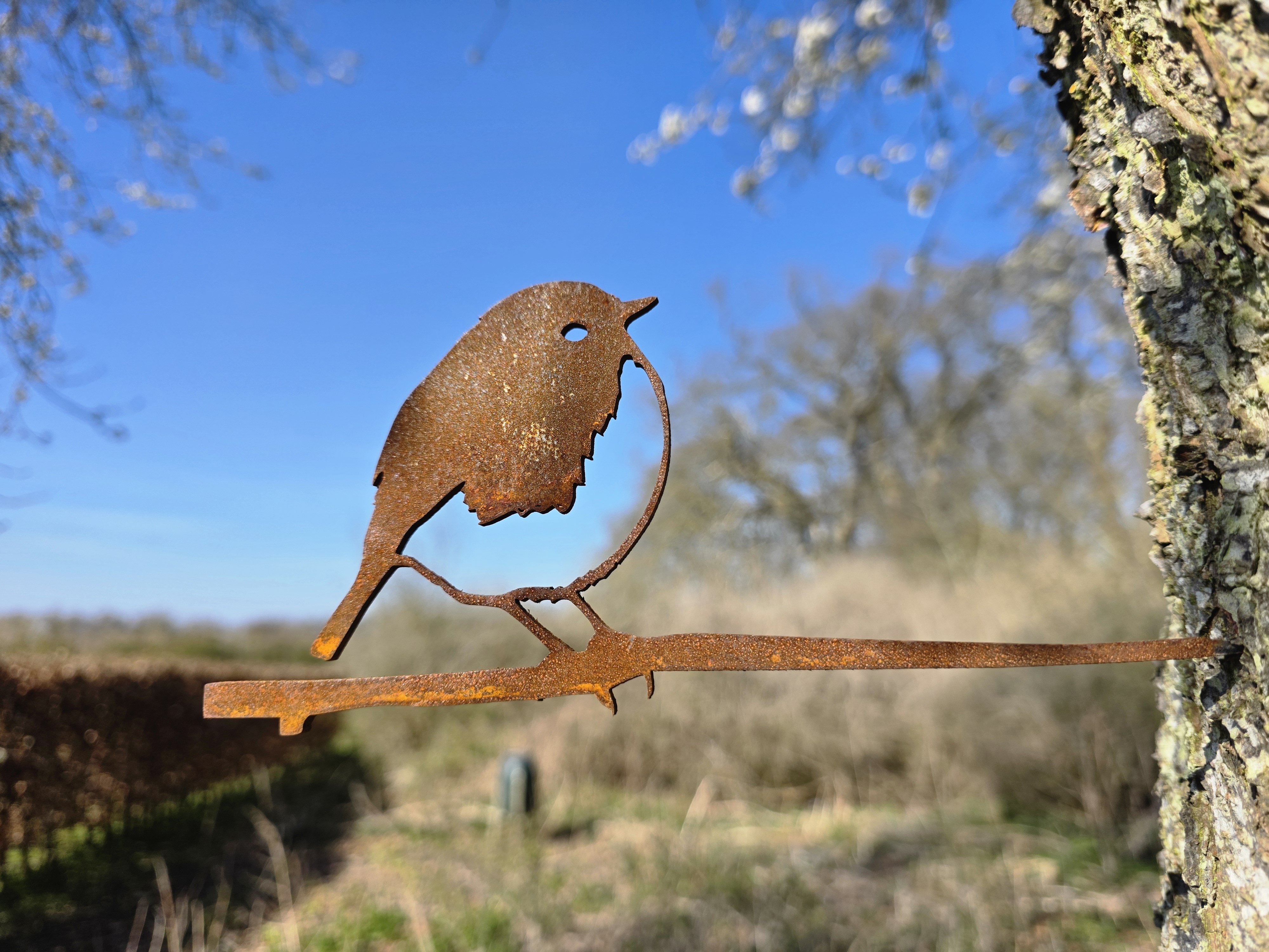 R�dhals i cortenst�l