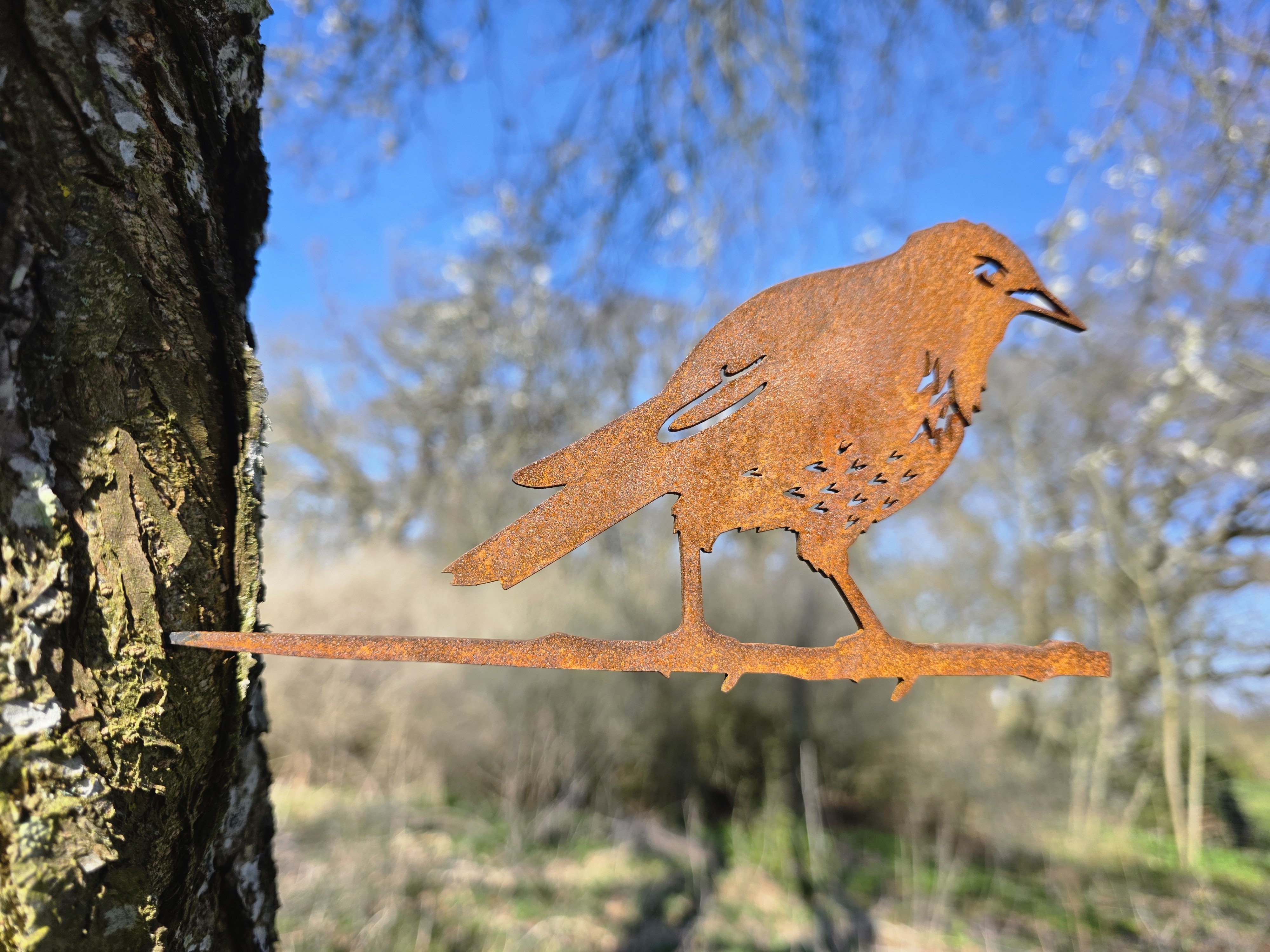 St�r i cortenst�l