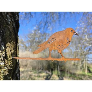 St�r i cortenst�l