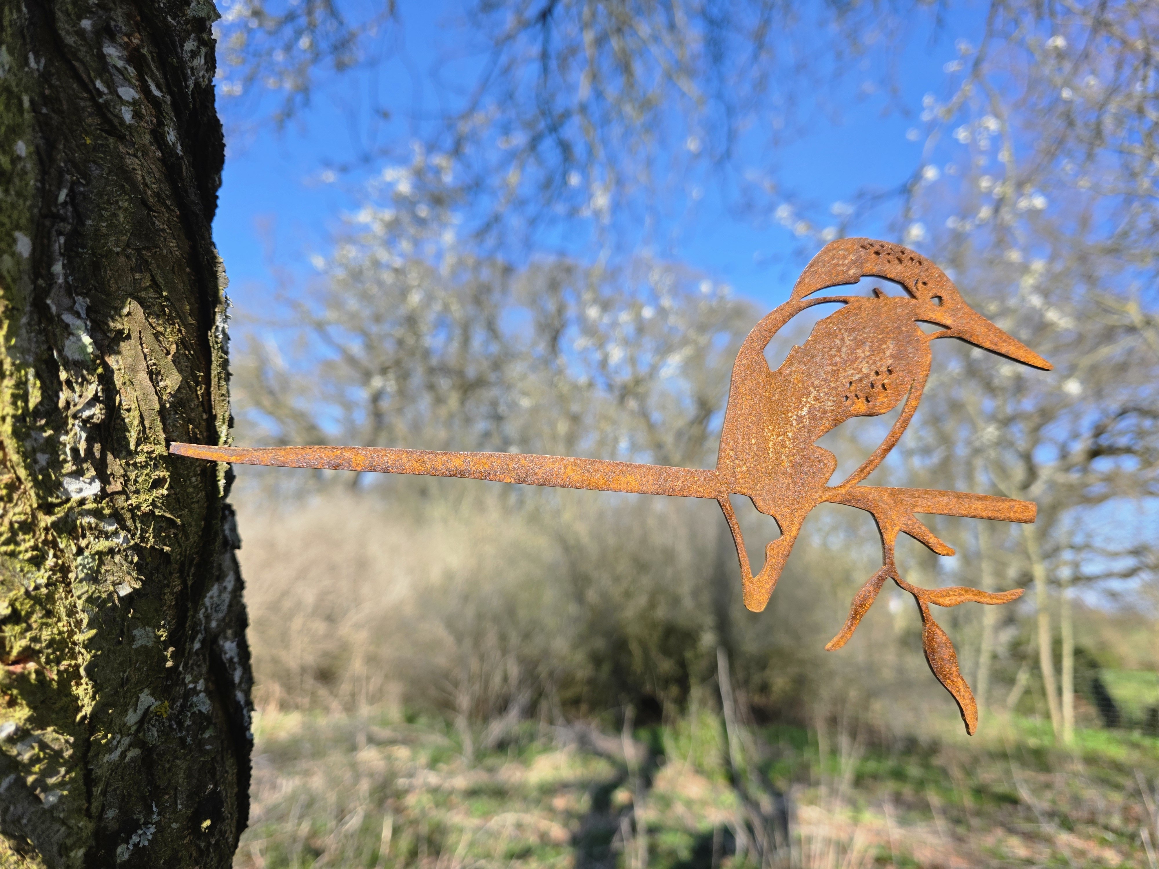 Isfugl i cortenst�l