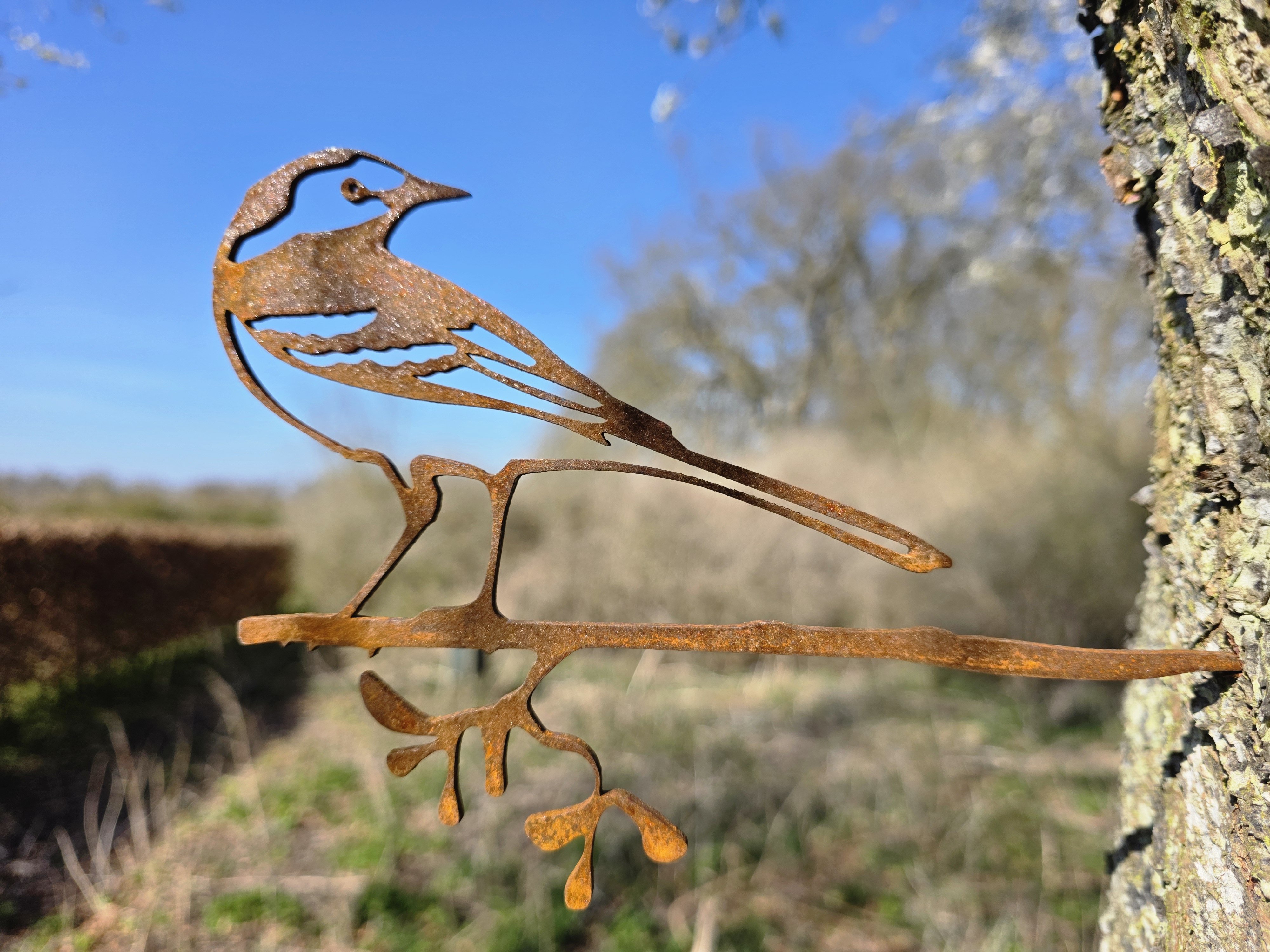 Vipstejrt i cortenst�l