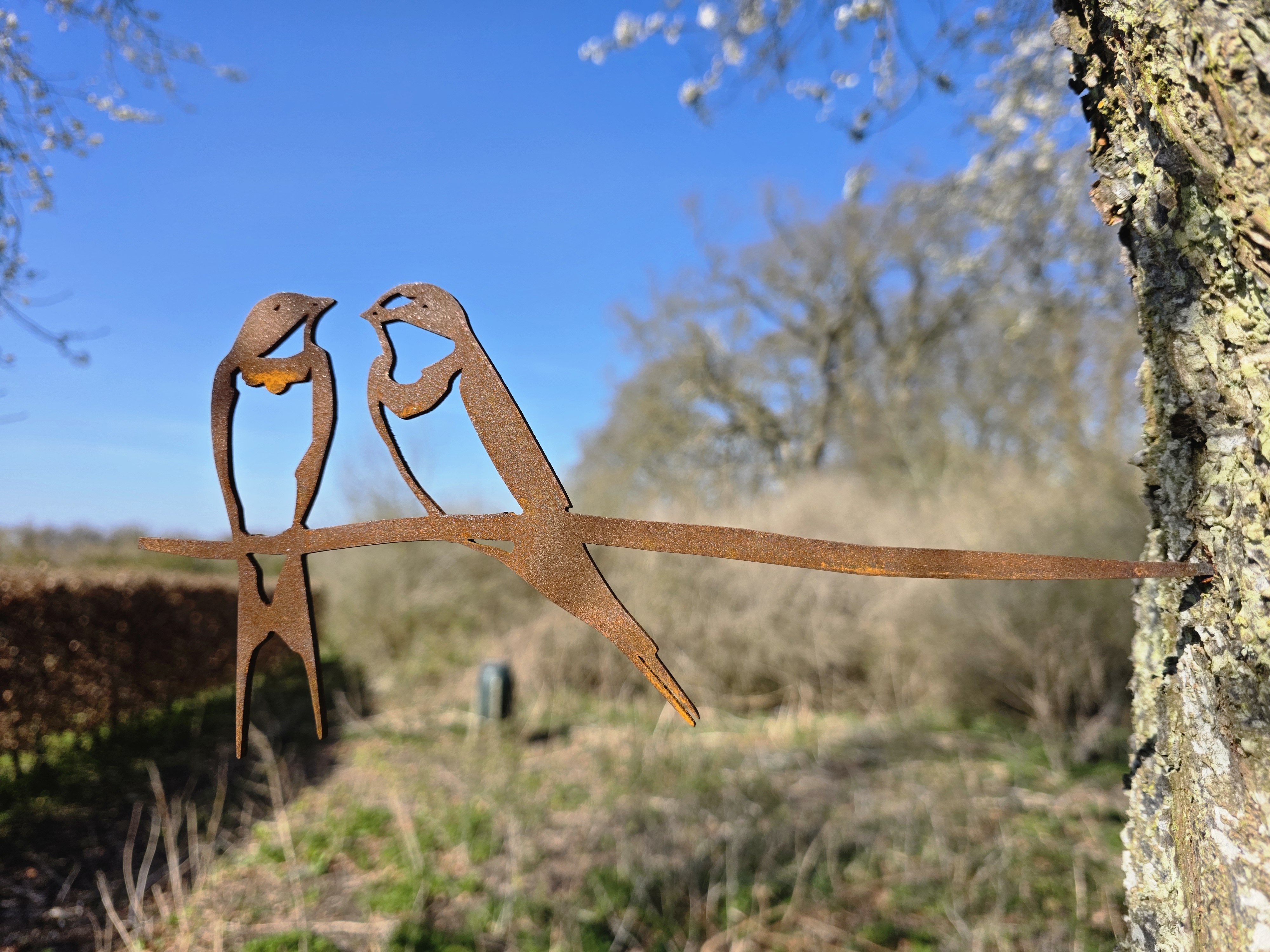 Svaler i cortenst�l